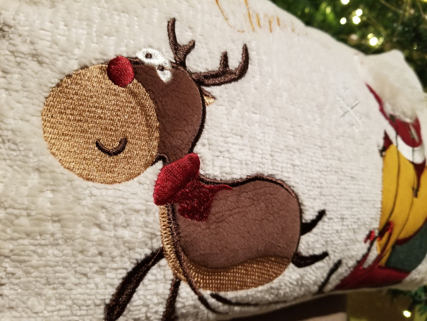 RUDOLPH & SANTA SLEIGH