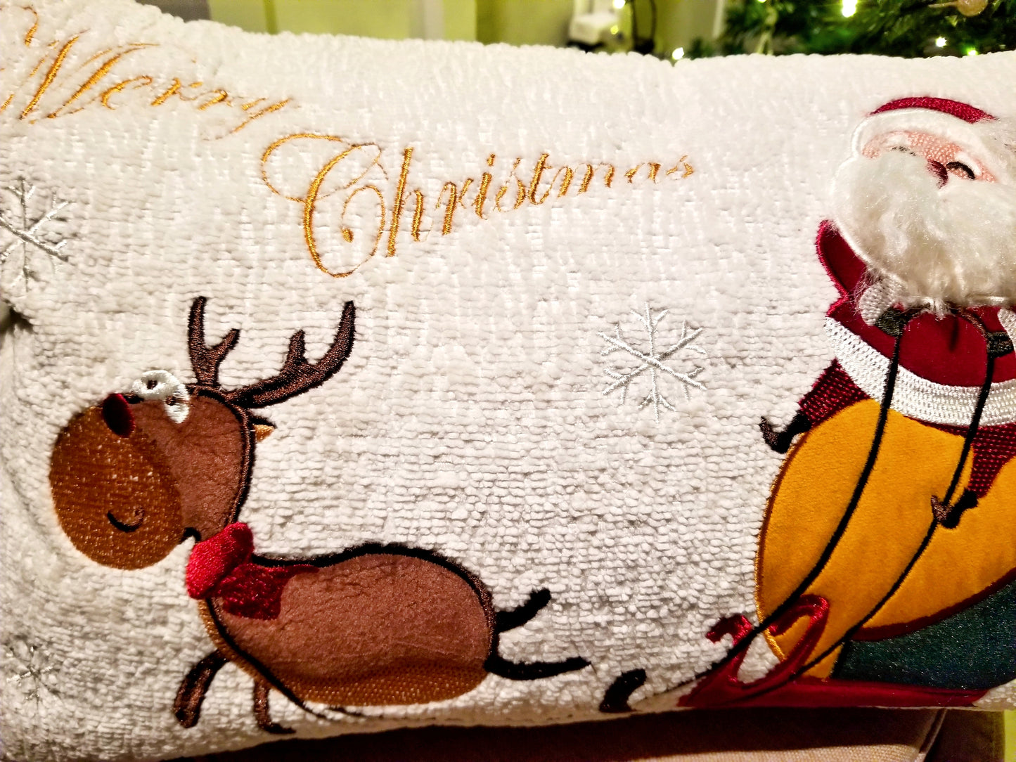 RUDOLPH & SANTA SLEIGH